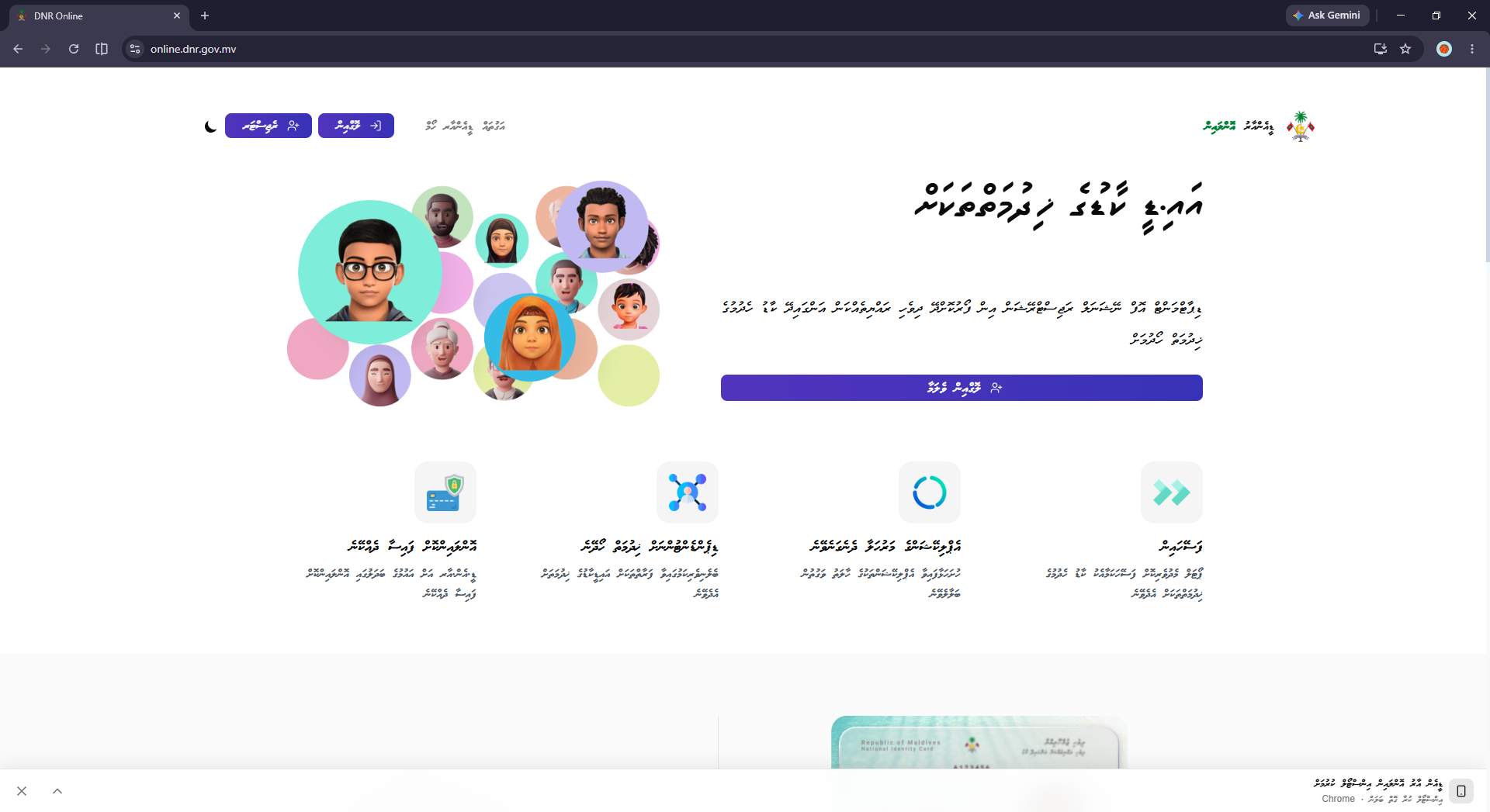 ޑީއެންއާރު ވެބްސައިޓް